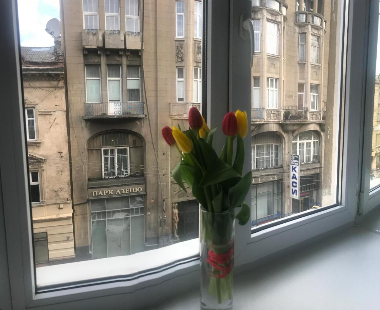 Апартаменти На Гнатюка 17 Lviv Dış mekan fotoğraf